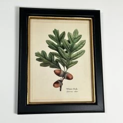 Darthome Limited Forest White Oak Acorns Toile Framed Print -Décor Dreams Shop IMG E1830 a7380d2a 1f5a 45fb 9363 bff75940af88