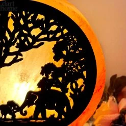 Darthome Limited Elephant Sunset Salt Lamp -Décor Dreams Shop IMG E2962 faf09640 baf4 499a aa49 11eddcbf151d