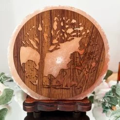 Darthome Limited Elephant Sunset Salt Lamp -Décor Dreams Shop IMG E2972