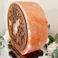 Darthome Limited Elephant Sunset Salt Lamp -Décor Dreams Shop IMG E2973 78139ee6 e979 4260 a9f9 b9d026ec95ee