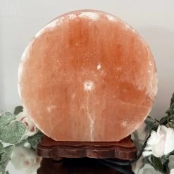 Darthome Limited Winter Stag Salt Lamp -Décor Dreams Shop IMG E2994 55f0e687 b8c0 4e38 a615 7eb17d9875bb