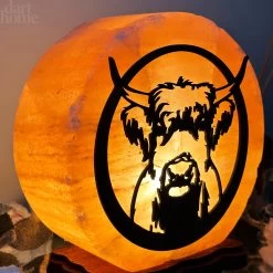 Darthome Limited Highland Cow Salt Lamp -Décor Dreams Shop IMG E3001