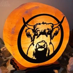 Darthome Limited Highland Cow Salt Lamp -Décor Dreams Shop IMG E3002