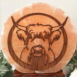 Darthome Limited Highland Cow Salt Lamp -Décor Dreams Shop IMG E3008