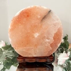Darthome Limited Tree Of Life Salt Lamp -Décor Dreams Shop IMG E3022
