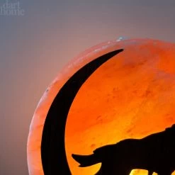 Darthome Limited Howling Fox Himalayan Salt Lamp -Décor Dreams Shop IMG E3068 b439d7ef 64b3 4359 9baf 728a6c12a357
