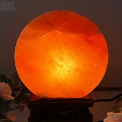 Darthome Limited Safari Animal Himalayan Salt Lamp -Décor Dreams Shop IMG E3089
