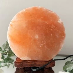 Darthome Limited Safari Animal Himalayan Salt Lamp -Décor Dreams Shop IMG E3090