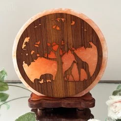 Darthome Limited Safari Animal Himalayan Salt Lamp -Décor Dreams Shop IMG E3091