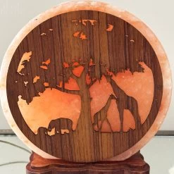 Darthome Limited Safari Animal Himalayan Salt Lamp -Décor Dreams Shop IMG E3092