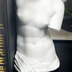 Darthome Limited White Roman Goddess Venus Bookends Set -Décor Dreams Shop IMG E3433