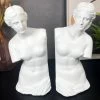 Darthome Limited White Roman Goddess Venus Bookends Set 2 Darthome Limited White Roman Goddess Venus Bookends Set -Décor Dreams Shop IMG E3438