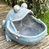 Darthome Limited Bull Frog Garden Planter -Décor Dreams Shop IMG E3604 657a078f 3326 47c0 81a1 ba8041c89519