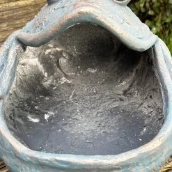 Darthome Limited Bull Frog Garden Planter -Décor Dreams Shop IMG E3609