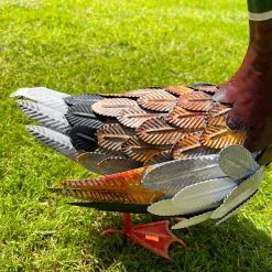 Darthome Limited Dark Brown Mallard Duck Garden Ornament 9 Darthome Limited Dark Brown Mallard Duck Garden Ornament -Décor Dreams Shop IMG E3788 edited71