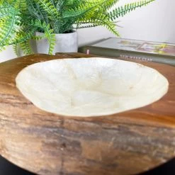 Darthome Limited Teak Root Pearl Bowl 25cm 9 Darthome Limited Teak Root Pearl Bowl 25cm -Décor Dreams Shop IMG E3949