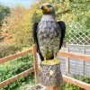 Darthome Limited Large Metal Hawk Garden Statue Large -Décor Dreams Shop IMG E4045