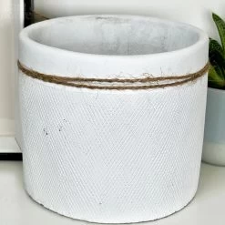 Darthome Limited Cement White Round Bee Pot 13 Darthome Limited Cement White Round Bee Pot -Décor Dreams Shop IMG E4066 79017234 8d36 4cdd 8b20 0c9fe7b6becf