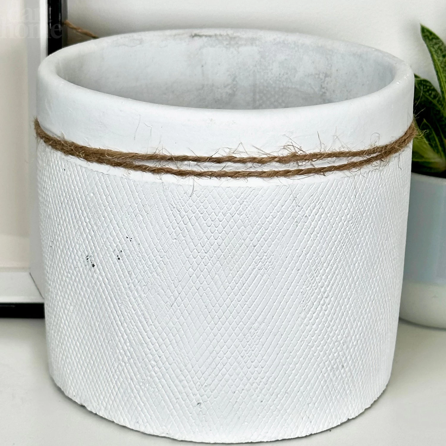 Darthome Limited Cement White Round Bee Pot 8 Darthome Limited Cement White Round Bee Pot - Image 6