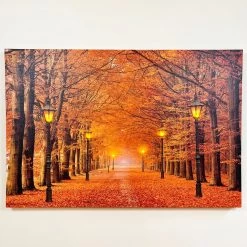Darthome Limited Rectangular Autumn Avenue LED Canvas Wall Art 60cm