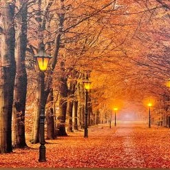 Darthome Limited Rectangular Autumn Avenue LED Canvas Wall Art 60cm 9 Darthome Limited Rectangular Autumn Avenue LED Canvas Wall Art 60cm -Décor Dreams Shop IMG E4216 edited136