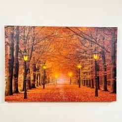Darthome Limited Rectangular Autumn Avenue LED Canvas Wall Art 60cm 10 Darthome Limited Rectangular Autumn Avenue LED Canvas Wall Art 60cm -Décor Dreams Shop IMG E4223 edited137