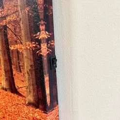 Darthome Limited Rectangular Autumn Avenue LED Canvas Wall Art 60cm 11 Darthome Limited Rectangular Autumn Avenue LED Canvas Wall Art 60cm -Décor Dreams Shop IMG E4225 edited139