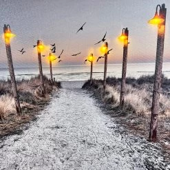 Darthome Limited Seashore Beach LED Canvas Wall Art 40x40cm -Décor Dreams Shop IMG E4231 edited144