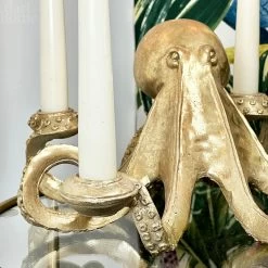 Darthome Limited Gold Ollie Octopus Candlestick Holder -Décor Dreams Shop IMG E4542 7ba231f1 e888 4d41 9ca1 400c9e4677ef