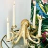 Darthome Limited Gold Ollie Octopus Candlestick Holder