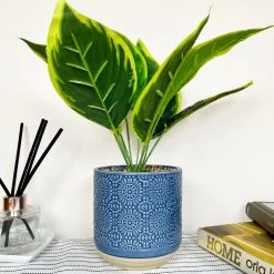 Darthome Limited Artificial Dieffenbachia Flower In Blue Pot -Décor Dreams Shop IMG E4616 edited89