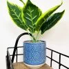 Darthome Limited Artificial Dieffenbachia Flower In Blue Pot