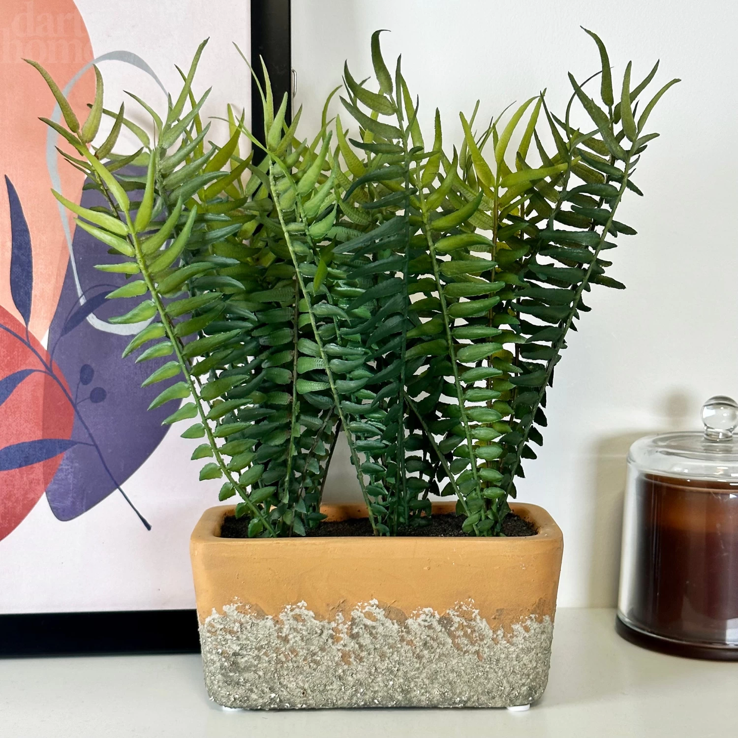 Darthome Limited Faux Potted Fern Plant In Terracotta Pot 3 Darthome Limited Faux Potted Fern Plant In Terracotta Pot