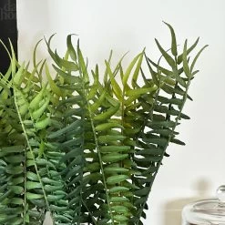 Darthome Limited Faux Potted Fern Plant In Terracotta Pot 10 Darthome Limited Faux Potted Fern Plant In Terracotta Pot -Décor Dreams Shop IMG E4668