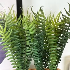 Darthome Limited Faux Potted Fern Plant In Terracotta Pot 11 Darthome Limited Faux Potted Fern Plant In Terracotta Pot -Décor Dreams Shop IMG E4669