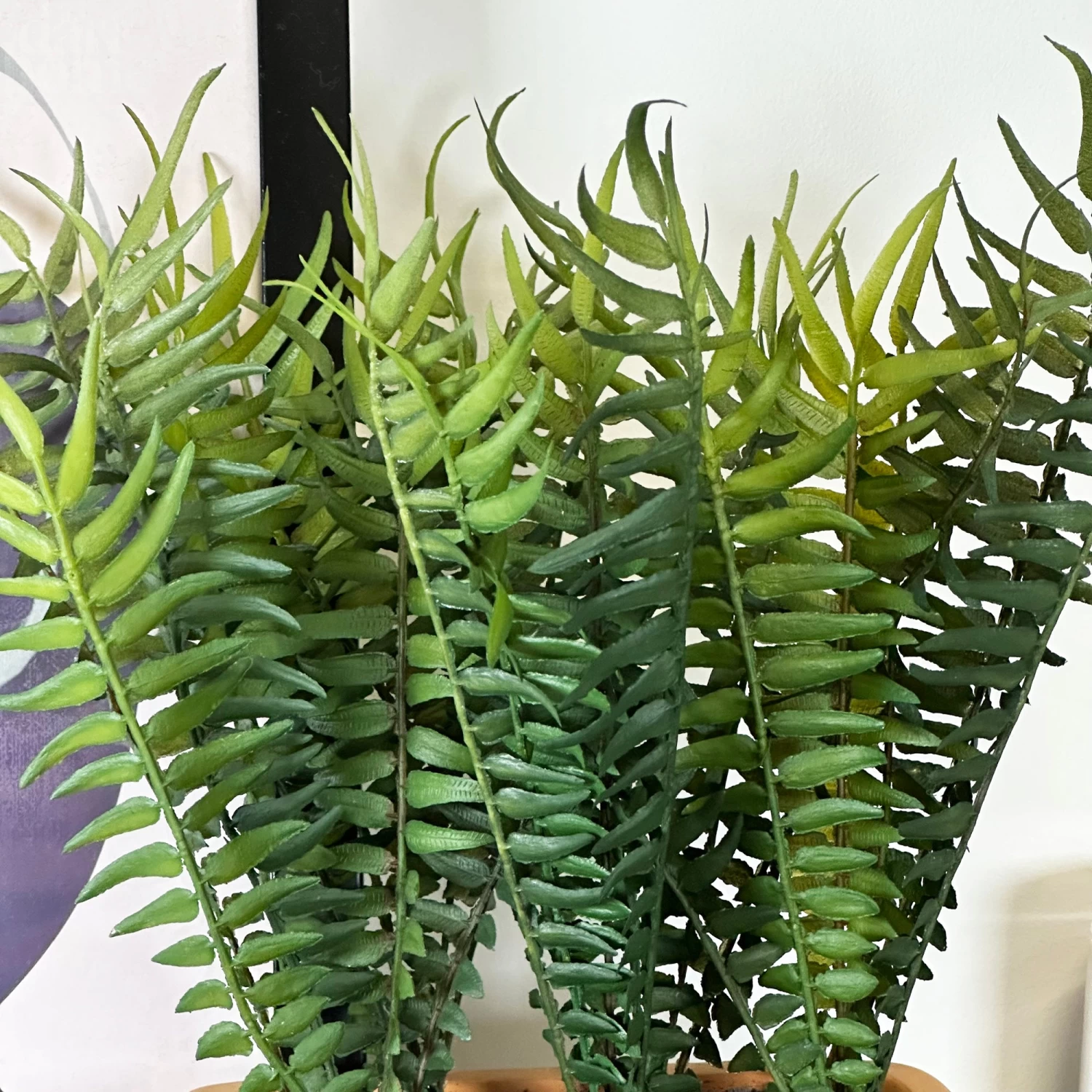 Darthome Limited Faux Potted Fern Plant In Terracotta Pot 6 Darthome Limited Faux Potted Fern Plant In Terracotta Pot - Image 4