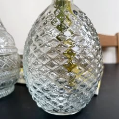 Darthome Limited Set Of 2 Large Clear Glass Vases - Round -Décor Dreams Shop IMG E4769 edited118