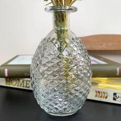 Darthome Limited Set Of 2 Large Clear Glass Vases - Round -Décor Dreams Shop IMG E4773 edited122