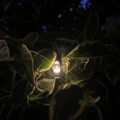 Darthome Limited 20 Butterfly Solar Outdoor String Lights -Décor Dreams Shop IMG E5078 edited85