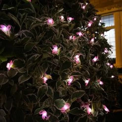 Darthome Limited 50 Flamingo Solar Outdoor String Lights