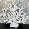 Darthome Limited White Resin Fire Coral Sculpture