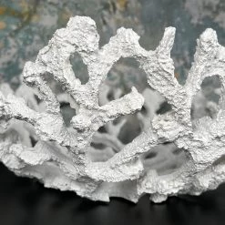 Darthome Limited Large White Coral Bowl -Décor Dreams Shop IMG E5193