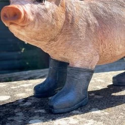 Darthome Limited Pink Resin Pig With Wellies Ornament -Décor Dreams Shop IMG E5745 edited18