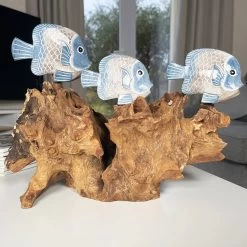 Darthome Limited Blue Fish On Teak Root Coral Reef Sculpture -Décor Dreams Shop IMG E5889