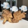 Darthome Limited Blue Fish On Teak Root Coral Reef Sculpture -Décor Dreams Shop IMG E5890