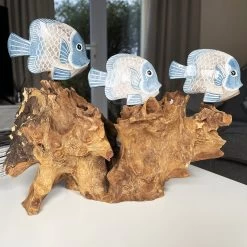 Darthome Limited Blue Fish On Teak Root Coral Reef Sculpture
