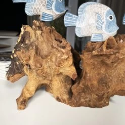 Darthome Limited Blue Fish On Teak Root Coral Reef Sculpture -Décor Dreams Shop IMG E5898