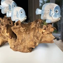 Darthome Limited Blue Fish On Teak Root Coral Reef Sculpture -Décor Dreams Shop IMG E5899