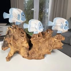 Darthome Limited Blue Fish On Teak Root Coral Reef Sculpture -Décor Dreams Shop IMG E5900