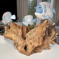 Darthome Limited Blue Fish On Teak Root Coral Reef Sculpture -Décor Dreams Shop IMG E5904